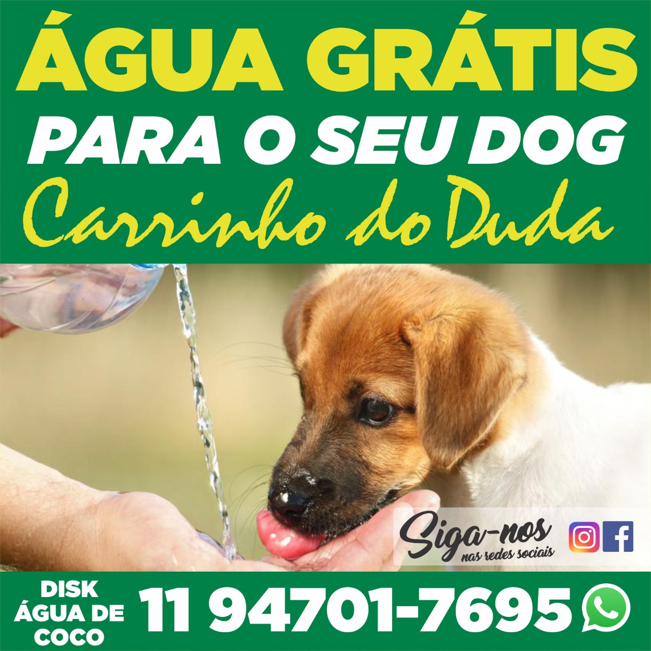 Filhote tomando água – Pet Friendly